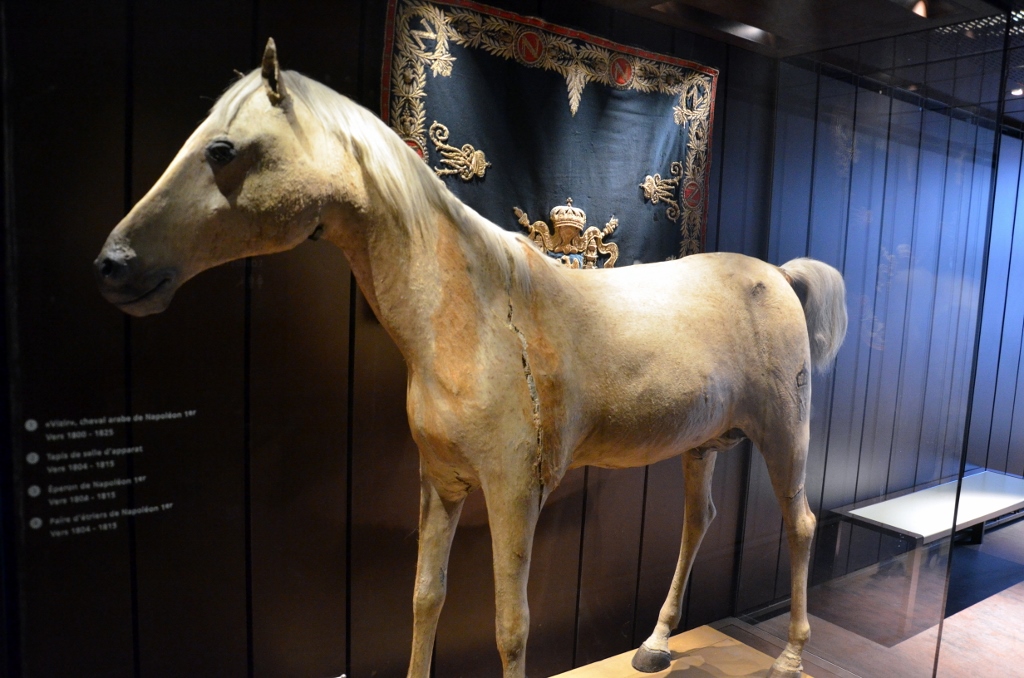 Het paard Vizir